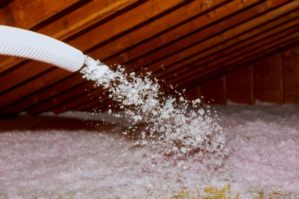 Best Spray Foam Insulation in Kotlik, AK