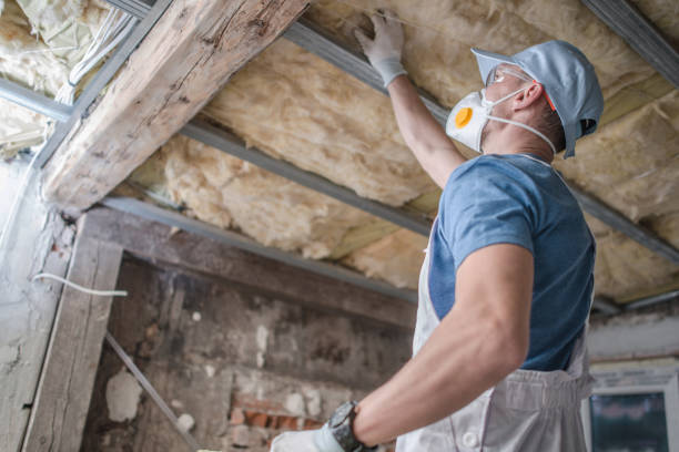 Best Specialized Insulation Services in Kotlik, AK