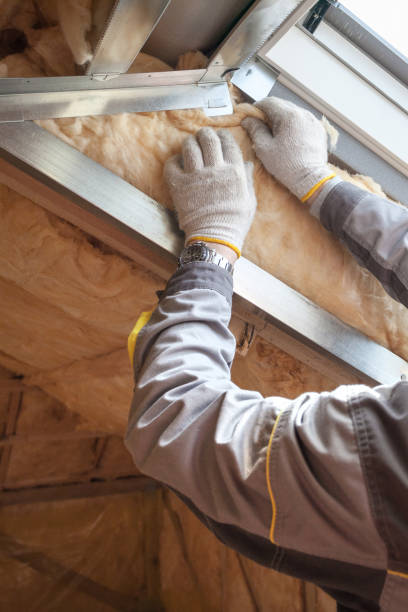Best Insulation Maintenance and Repair in Kotlik, AK