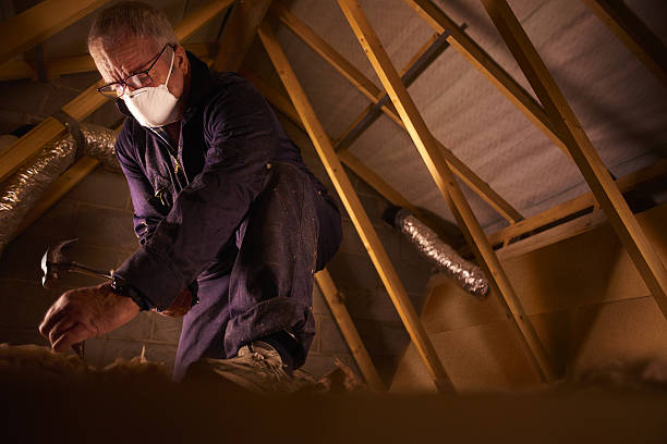 Types of Insulation We Offer in Kotlik, AK