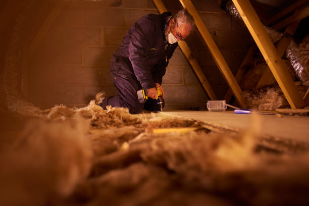 Best Fiberglass Insulation in Kotlik, AK